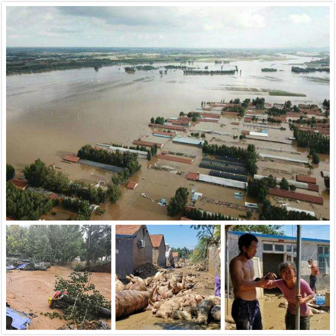 ̫������tcy8722-�Ӵ�ݰ��